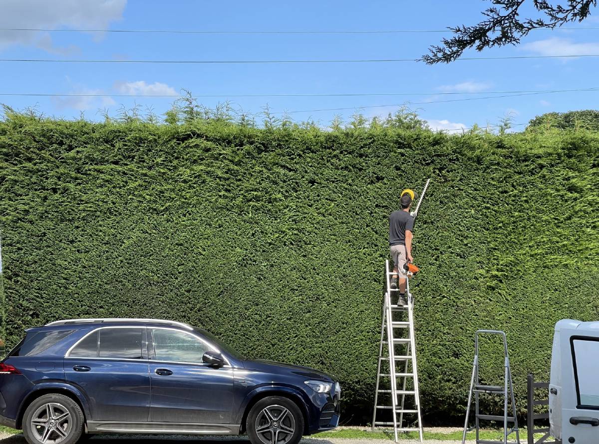 Landscapers & gardeners in Watford and Hertfordshire Landscapers & gardeners in Watford and Hertfordshire